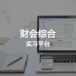財(cái)會(huì)綜合實(shí)習(xí)平臺(tái)軟件