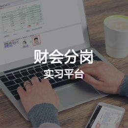 財(cái)會(huì)分崗實(shí)習(xí)平臺(tái)軟件